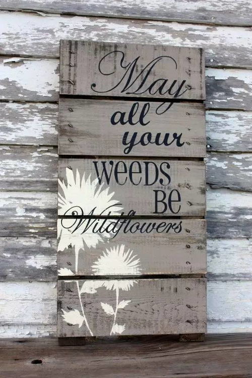 景觀標(biāo)識(shí)牌,相信你會(huì)用的上 文化 網(wǎng)